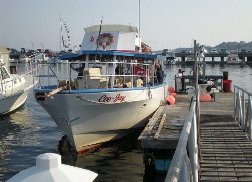 32806594