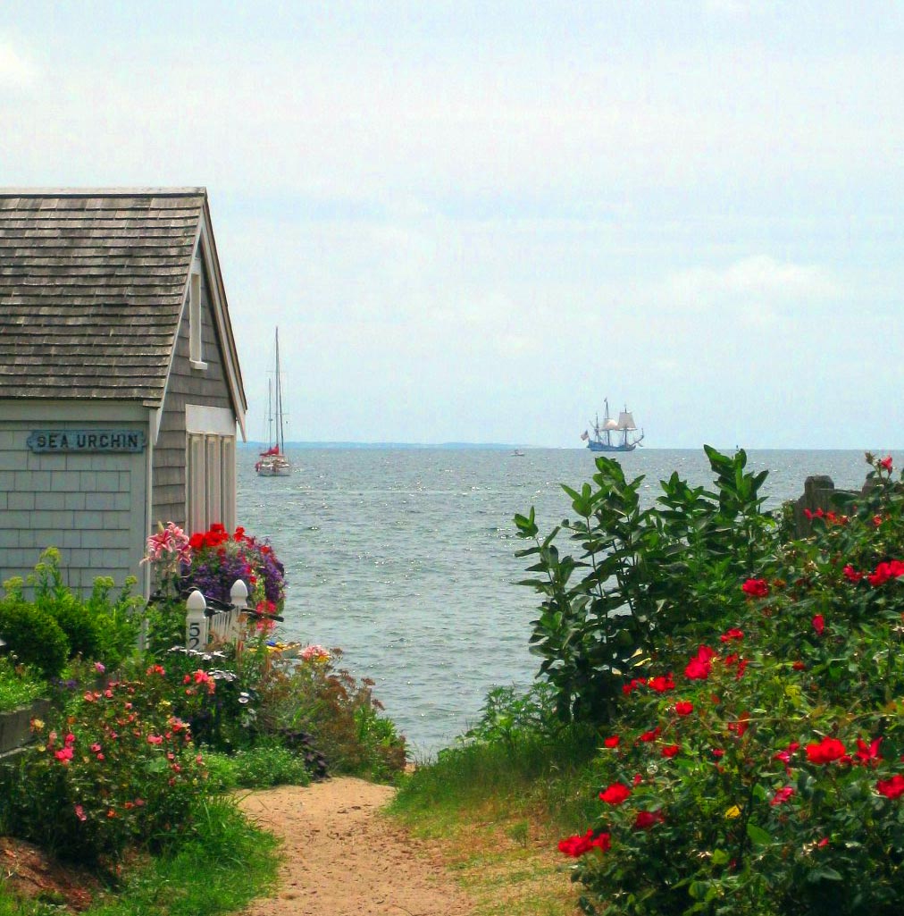 Provincetown-Garden4