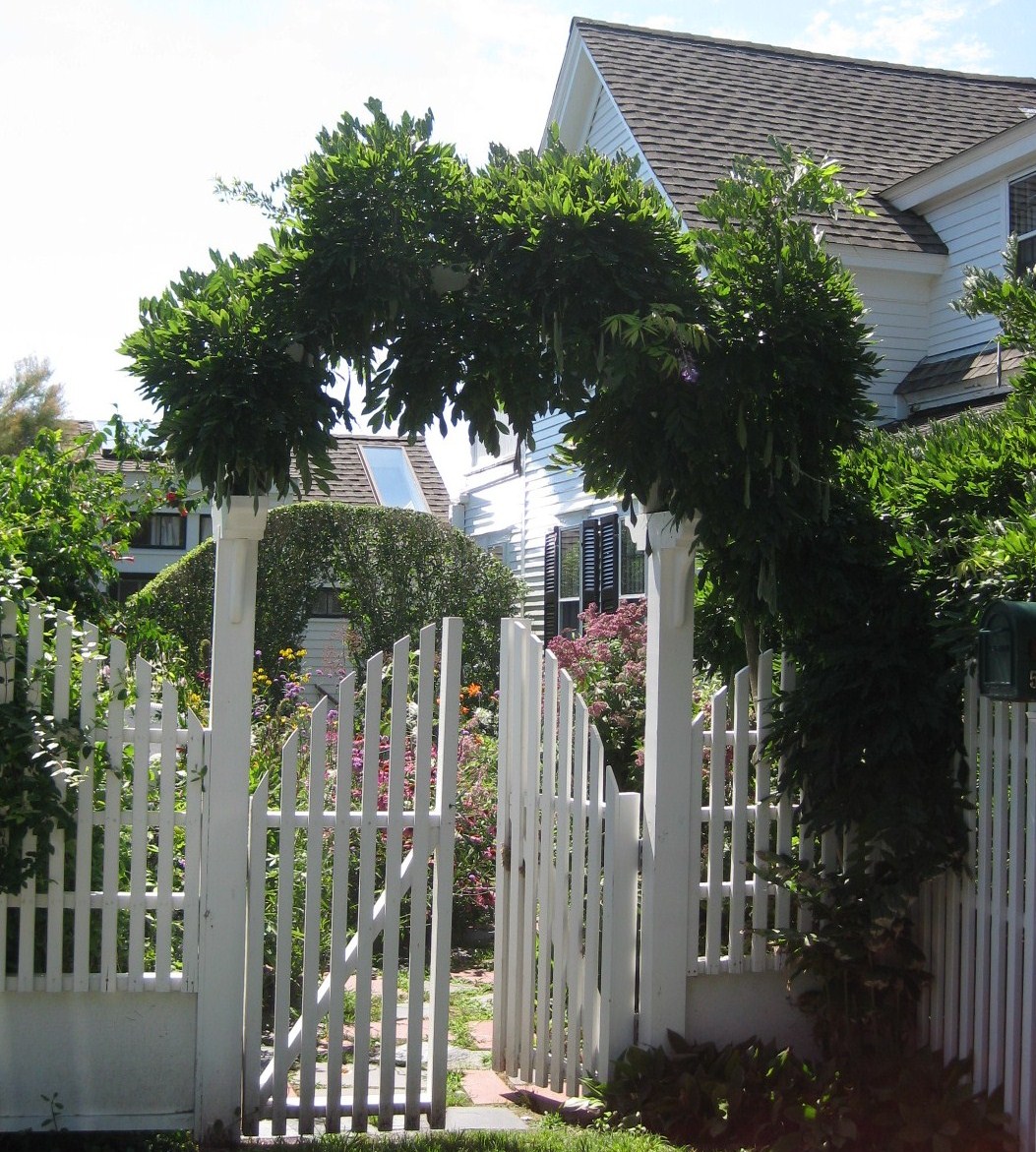 Provincetown-Garden5