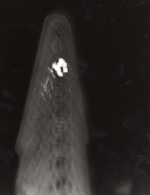 Dugan_Turning_Point_15
